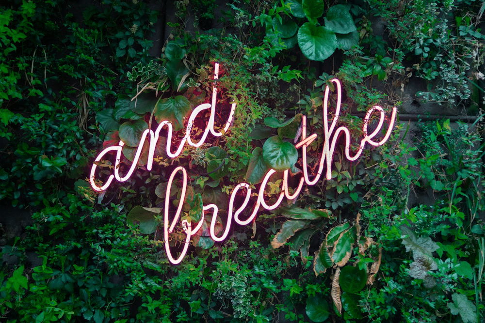Neon sign reading 'and breathe' set against a lush green living wall, evoking a sense of relaxation and calm for expectant mothers.